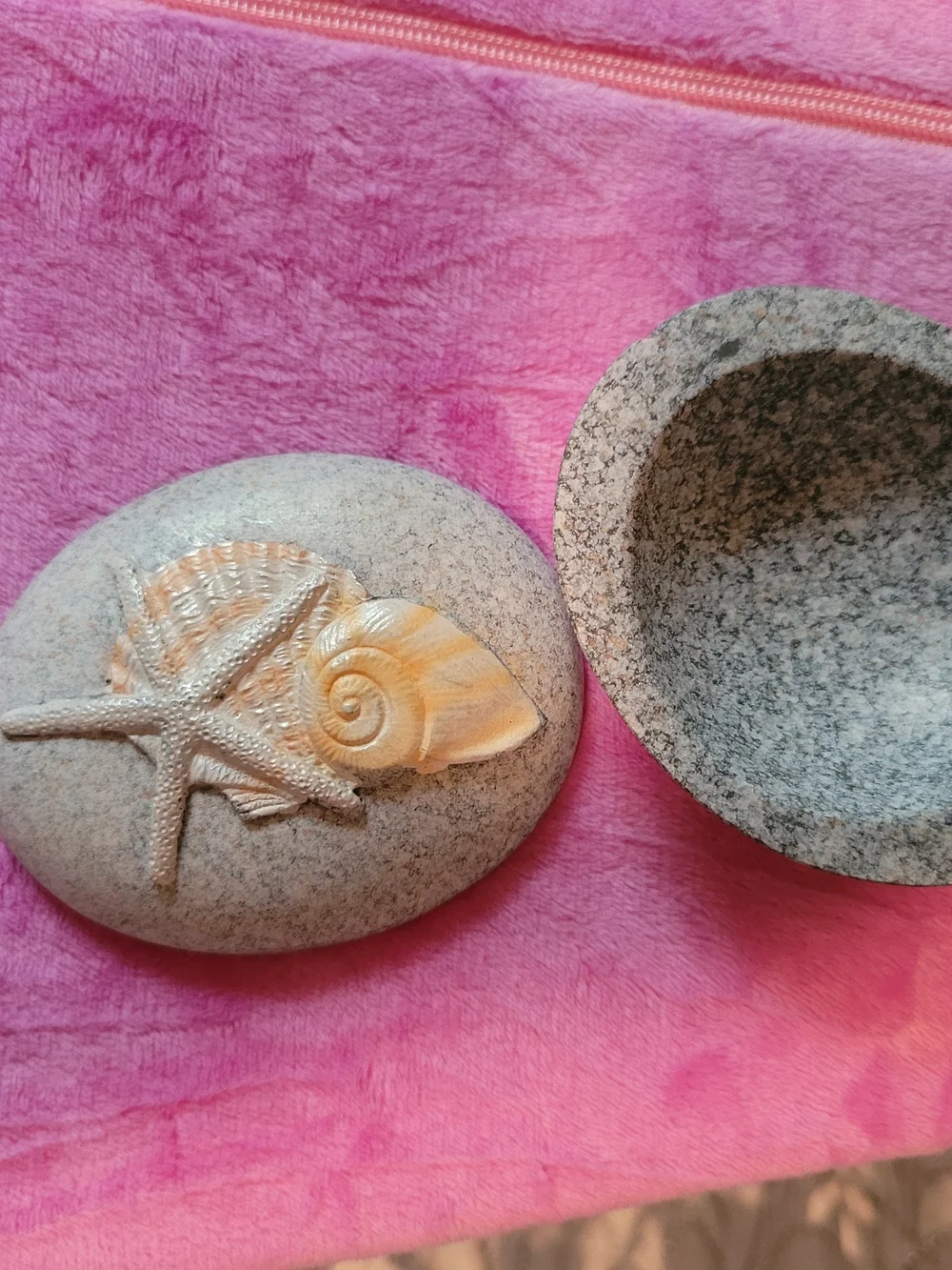 Decorative Starfish Shell Accent Stone in Beige and Natural